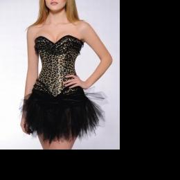 Supplier of women\'s clothing (corsets)